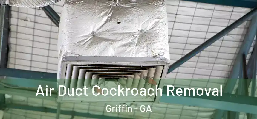  Air Duct Cockroach Removal Griffin - GA