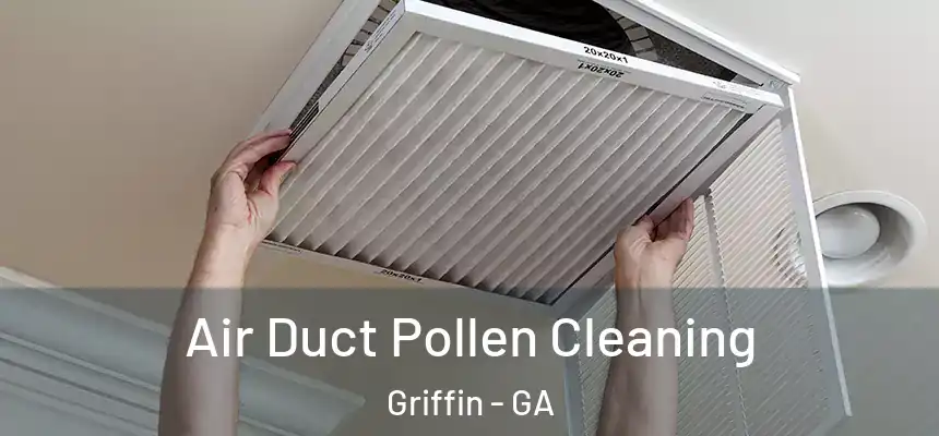  Air Duct Pollen Cleaning Griffin - GA