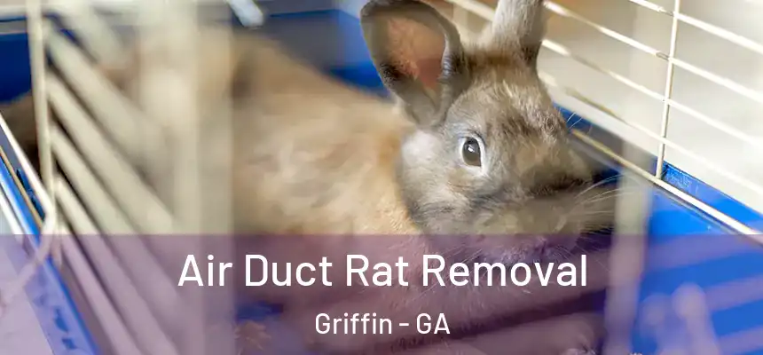 Air Duct Rat Removal Griffin - GA
