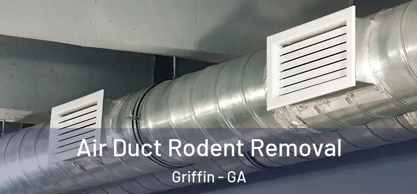  Air Duct Rodent Removal Griffin - GA