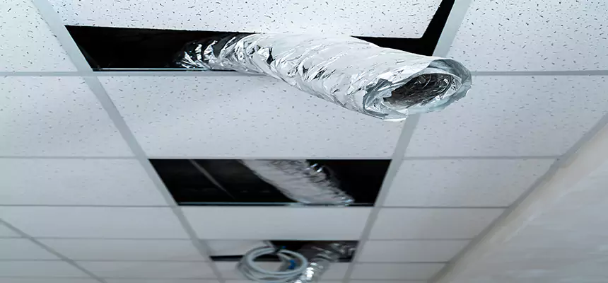 Our Air Duct Pet Hair Removal Services in Griffin, GA