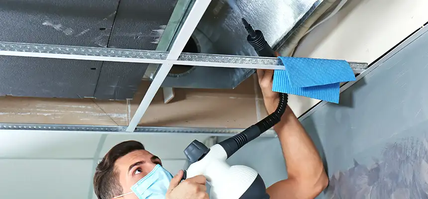 Our Air Duct Rodent Removal Services in Griffin, GA