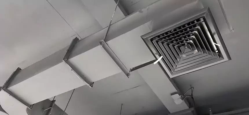 Restorative Allergy Relief Vent Cleaning – Coil, Blower & Housing Detail in Griffin