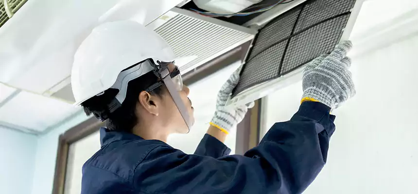 Our Mold & Mildew Removal from Air Ducts Services in Griffin, GA