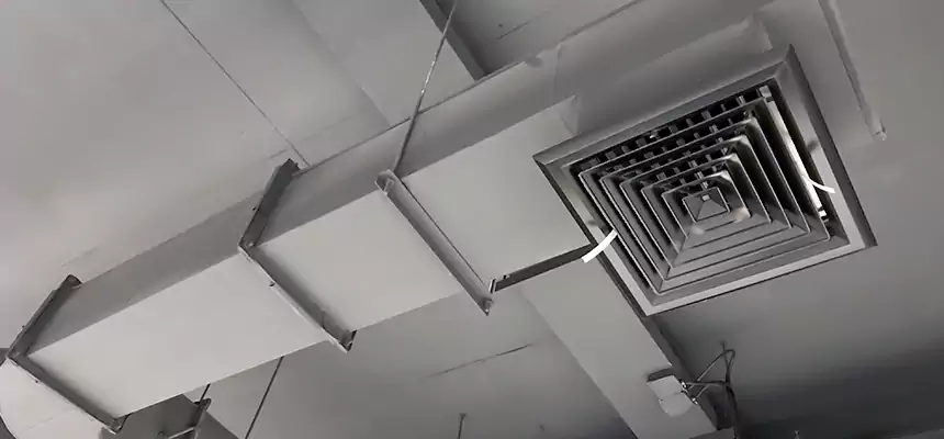 Our Pest Removal From Ducts Services in Griffin, GA