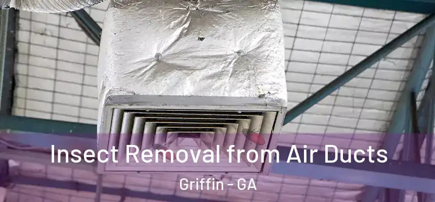  Insect Removal from Air Ducts Griffin - GA