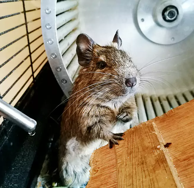 Why Homeowners & Businesses Trust Us Griffin, GA