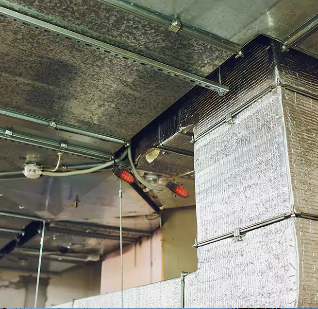 Why Homeowners & Businesses Trust Us Griffin, GA?