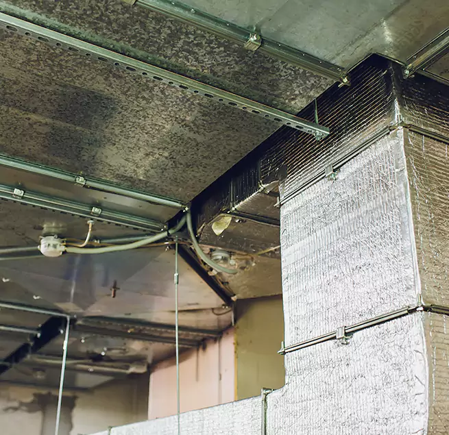 Why Homeowners & Businesses Trust Us in Griffin, GA?